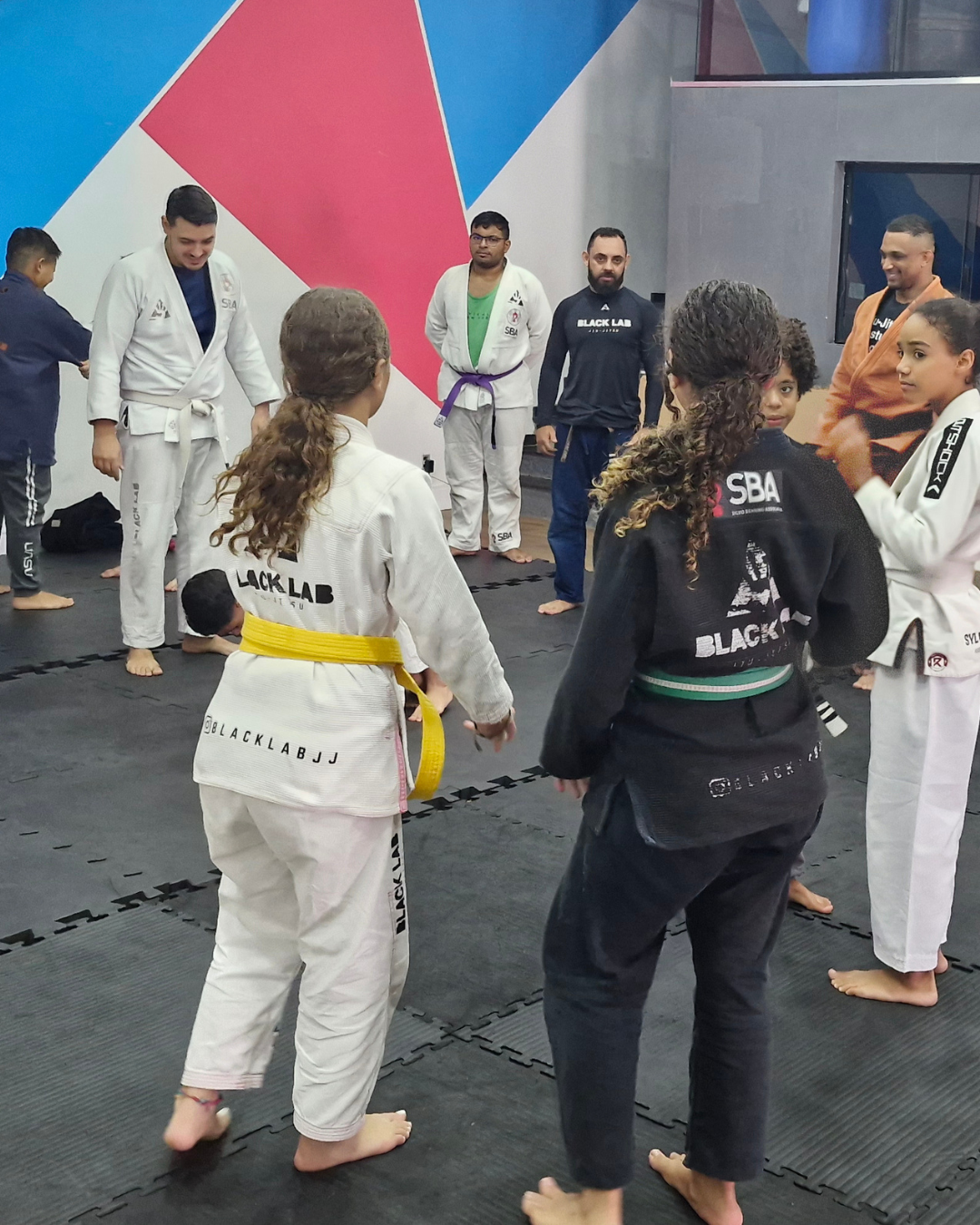 jiu-jitsu